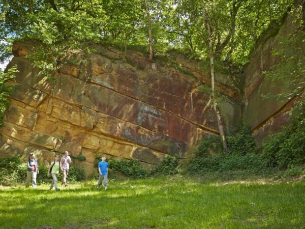 Bad Bentheimer Schlucht